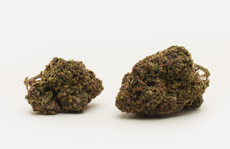 7845030D 3170 4A1F 835E BC4E59F4F72E