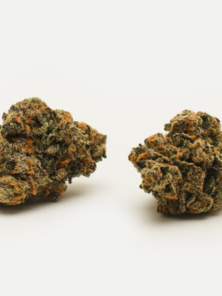 Fiji Sunset Flower Product Gallery 1