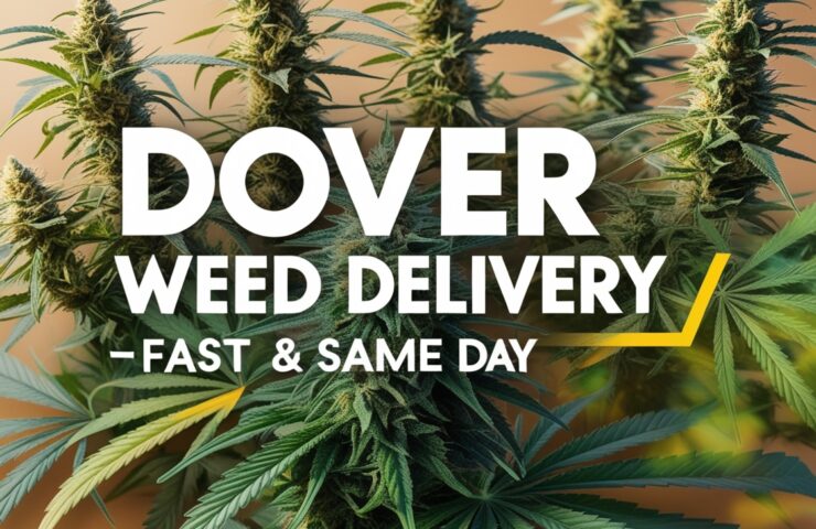Dover Weed Delivery - Fast & Same Day