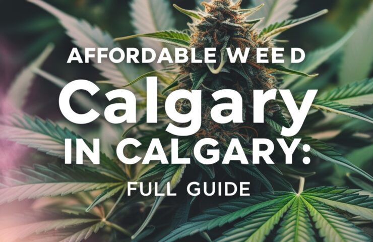 Affordable Weed in Calgary: Full Guide