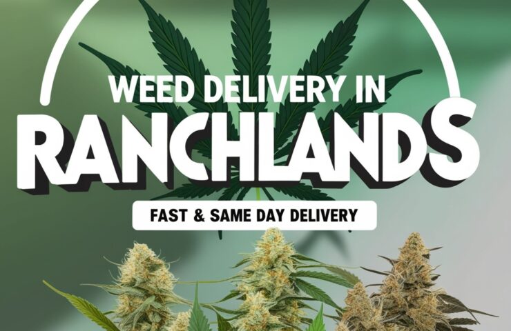 Leonardo Phoenix 09 A vibrant urbaninspired advertisement feat 1